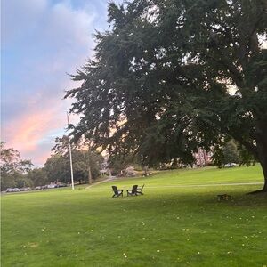 Meet your Posher, Bella